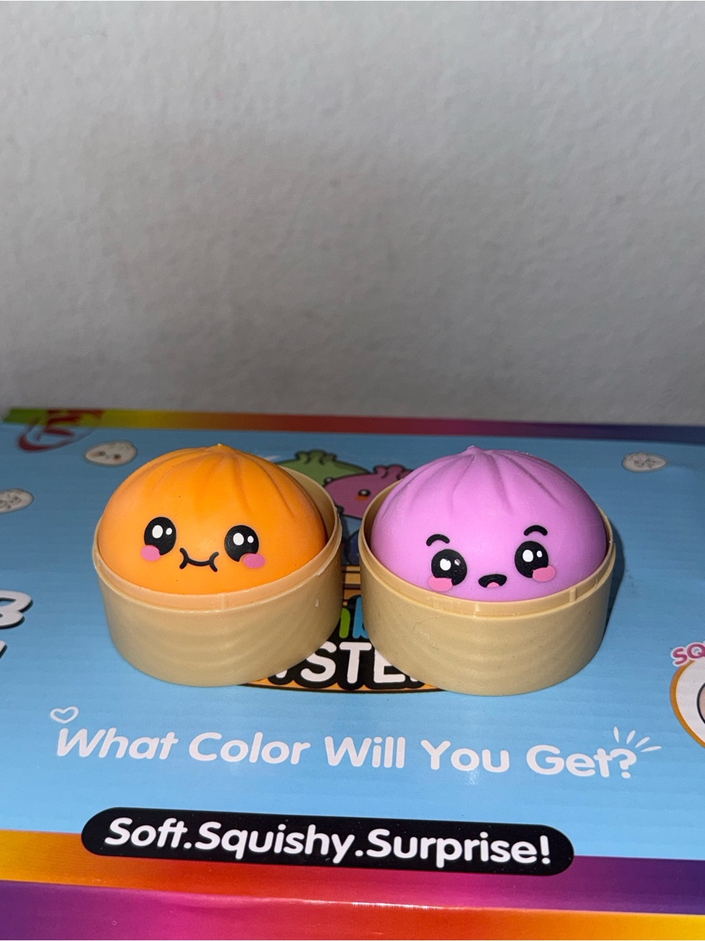 Rainbow Mystery Soft Squishy Dumpling Toy Box - 24PC Full Box
